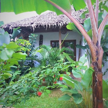 Valerie Lodge San Vicente  Esterno foto